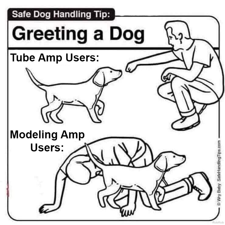 Amp_User_and%20_Dog_Handling.jpg